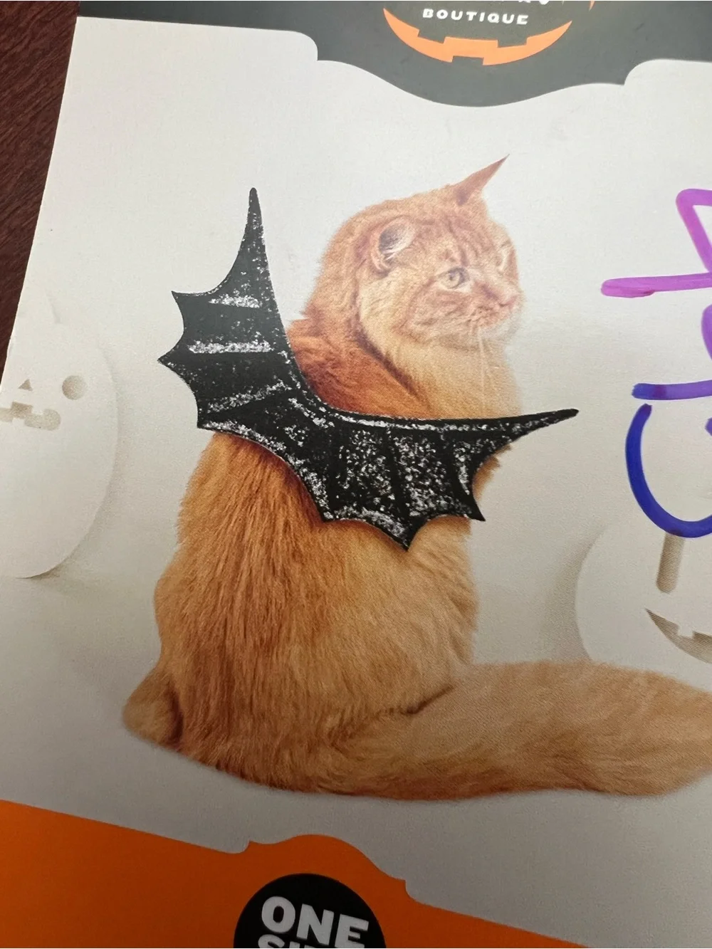 Hyde & EEK! Cat Bat Wings Costume Set - Black Glitter